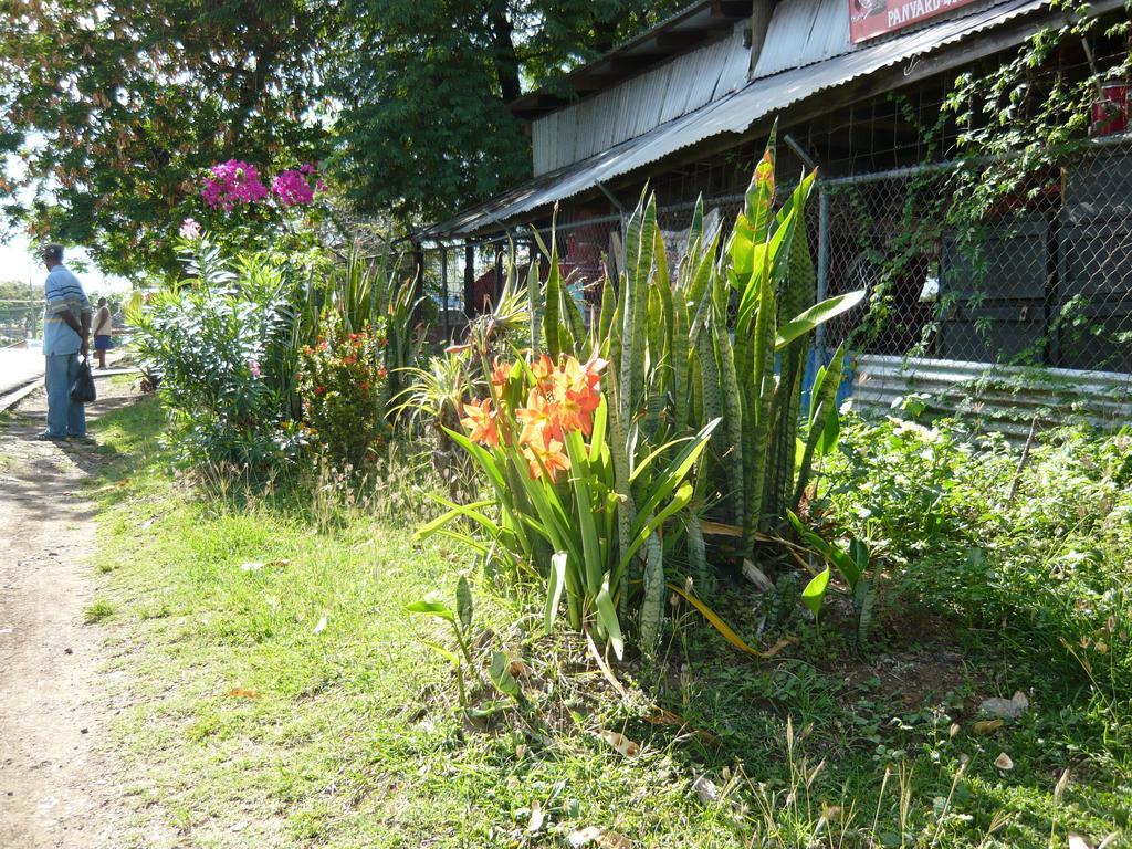 Hotel Chez Marie Alish Gros Islet