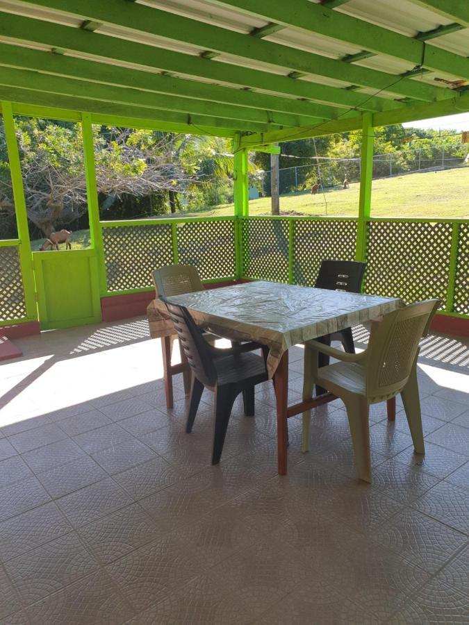 Seawind Authentic St.lucian Near Plantation Apartment *