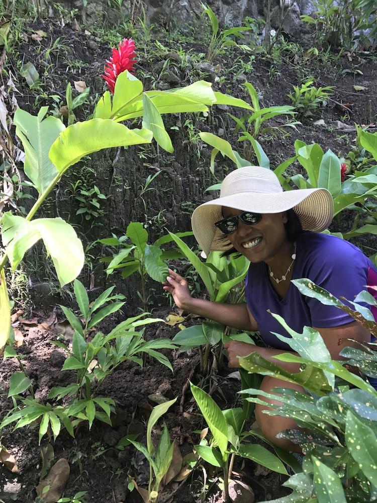 Fond Doux Eco Hotel Soufriere