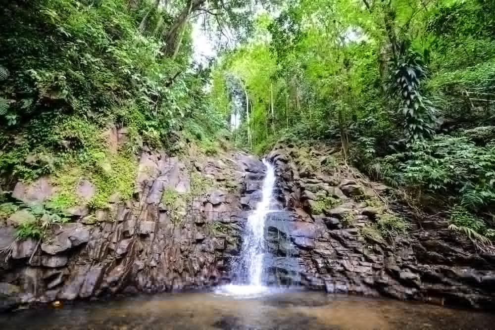 Fond Doux Eco 3* Soufriere