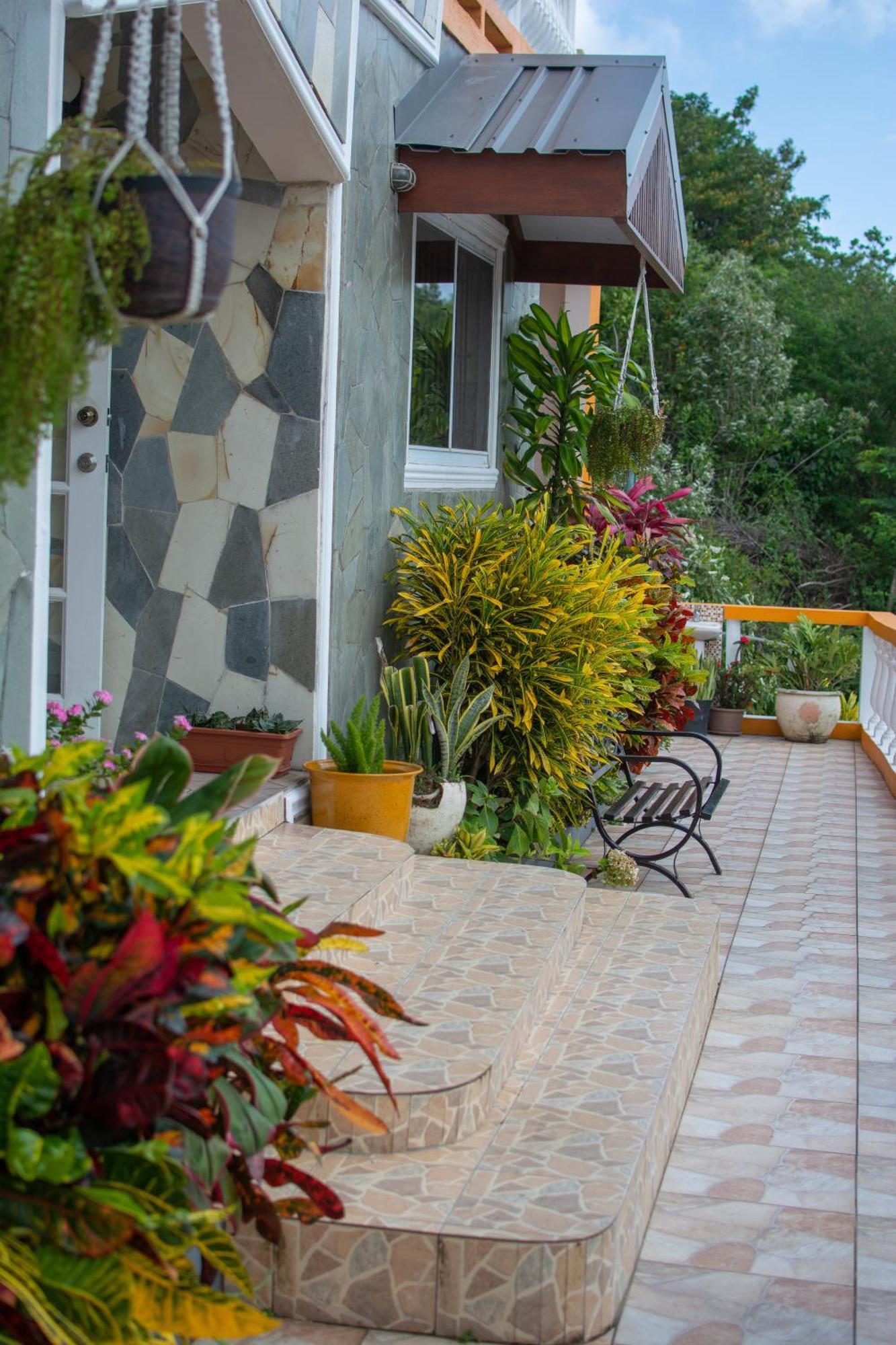 Mountain View Apartment
