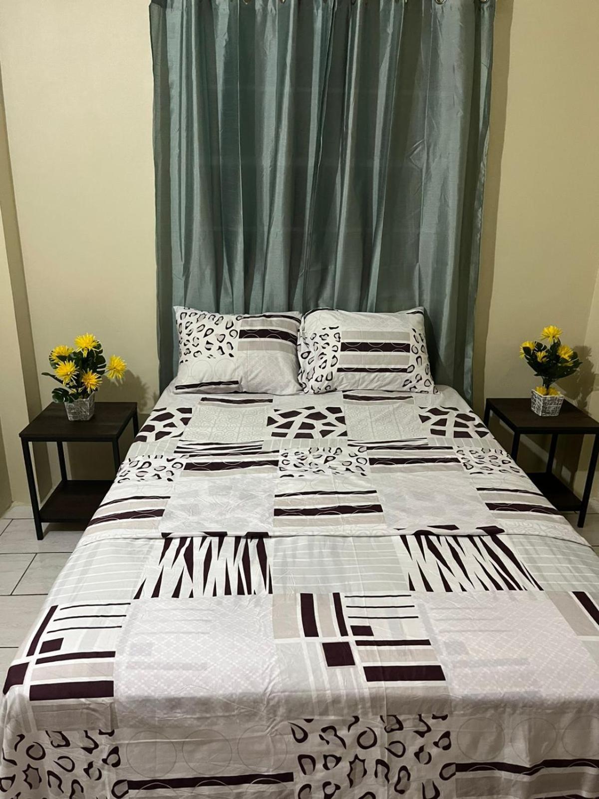 Cool Vibes Cozy Apartment Soufriere