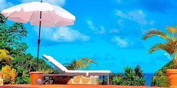 Palms Luxury