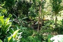 Holiday home River Side House Palmiste