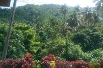 River Side House Palmiste