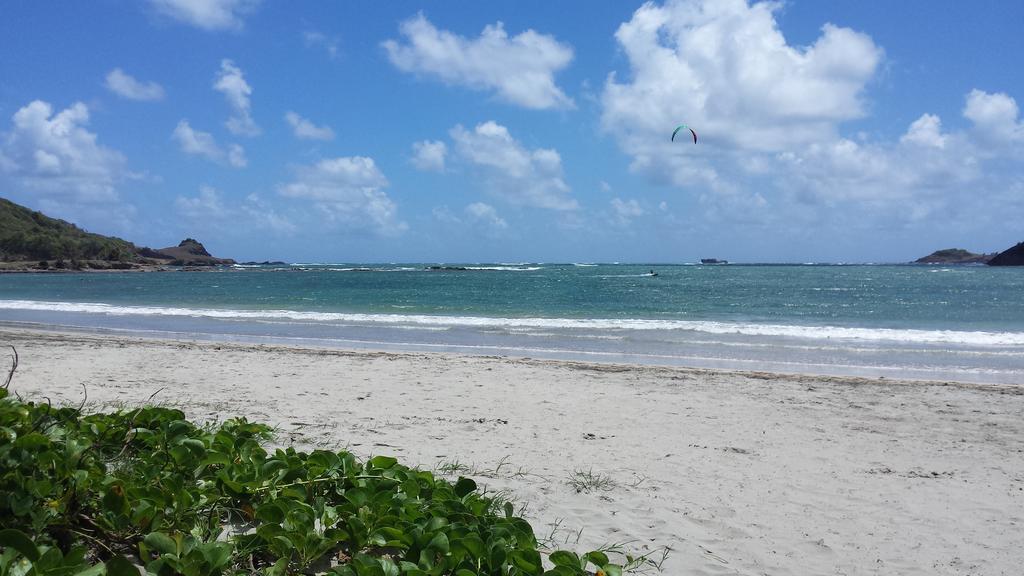 Apartment Seawind Authentic St.lucian Near Plantation