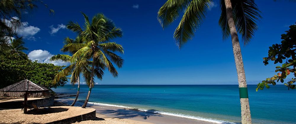 East Winds St. Lucia Gros Islet