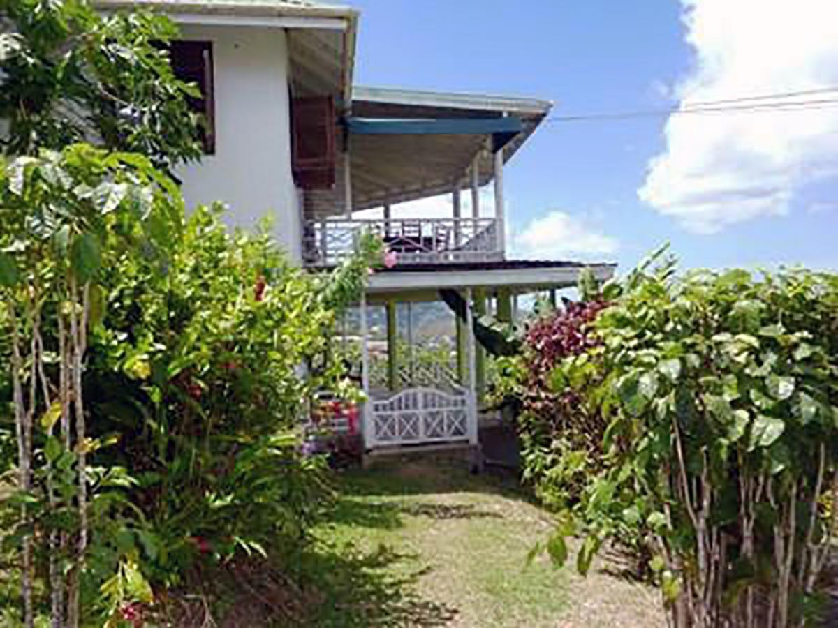 Frangipani *