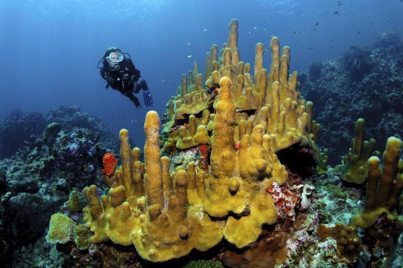 Jade Mountain 5* Soufriere