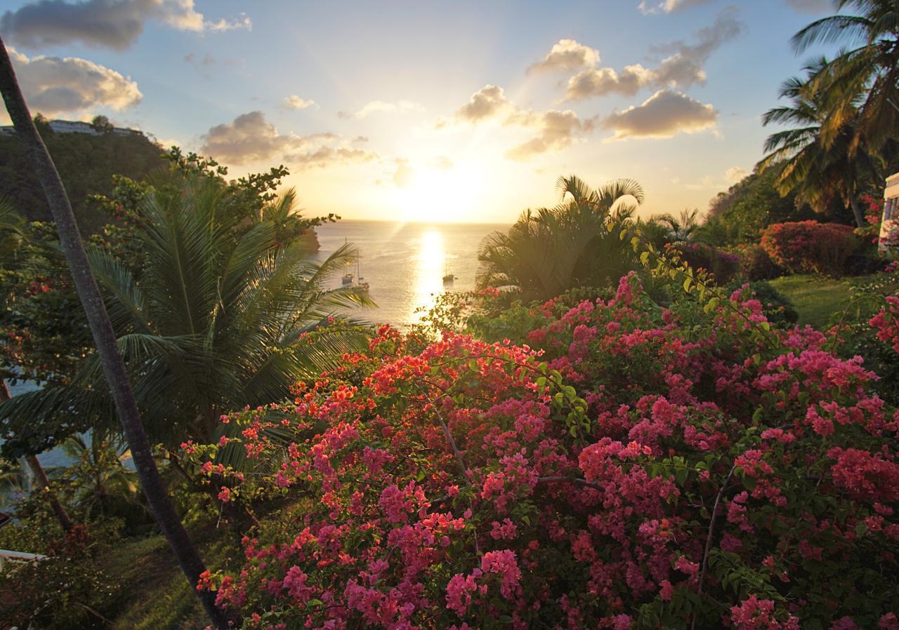 Club & Dive 4* Marigot Bay