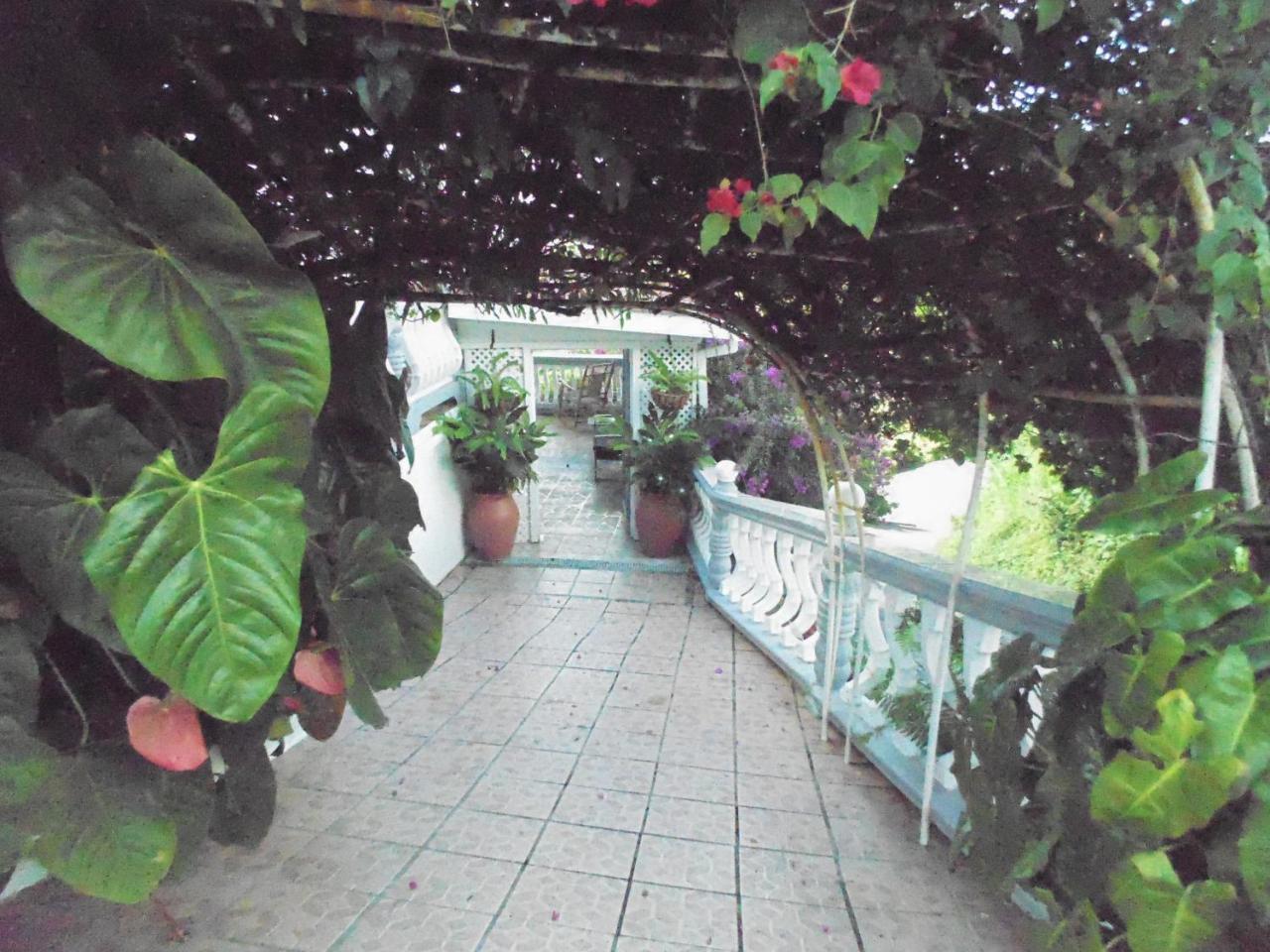 Piton Vista *