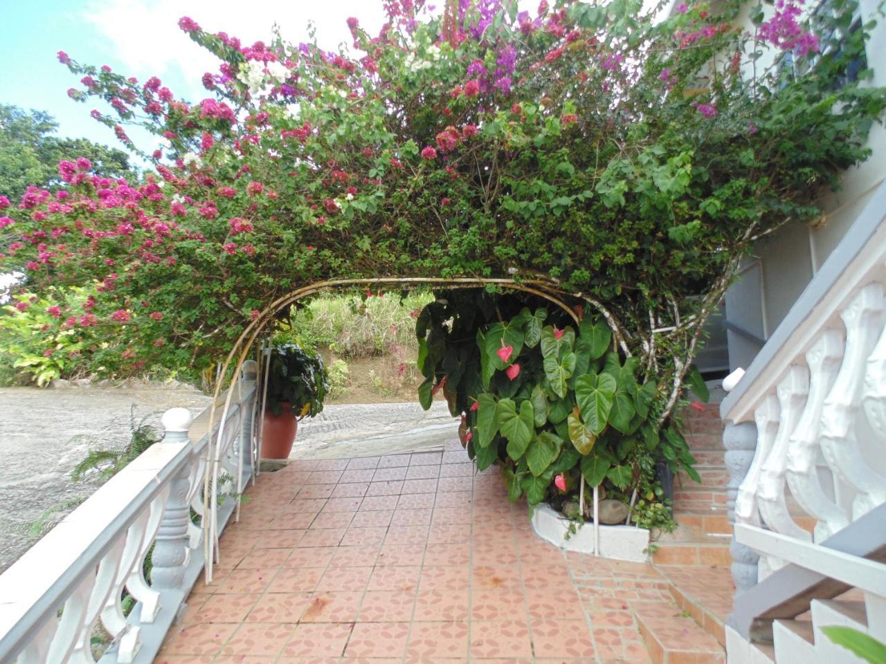 Villa Piton Vista *