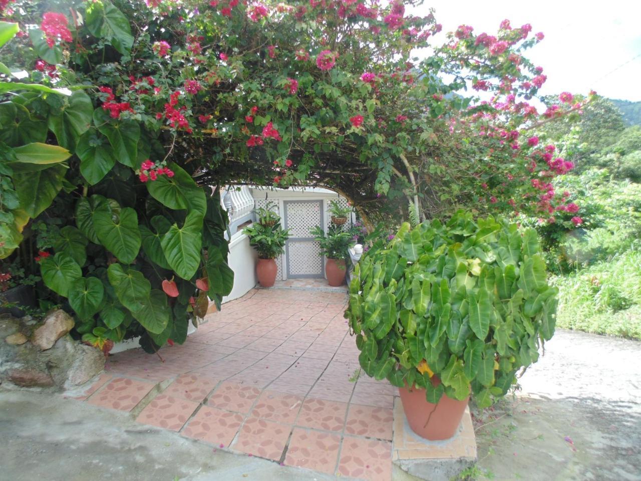 Piton Vista Villa Soufriere