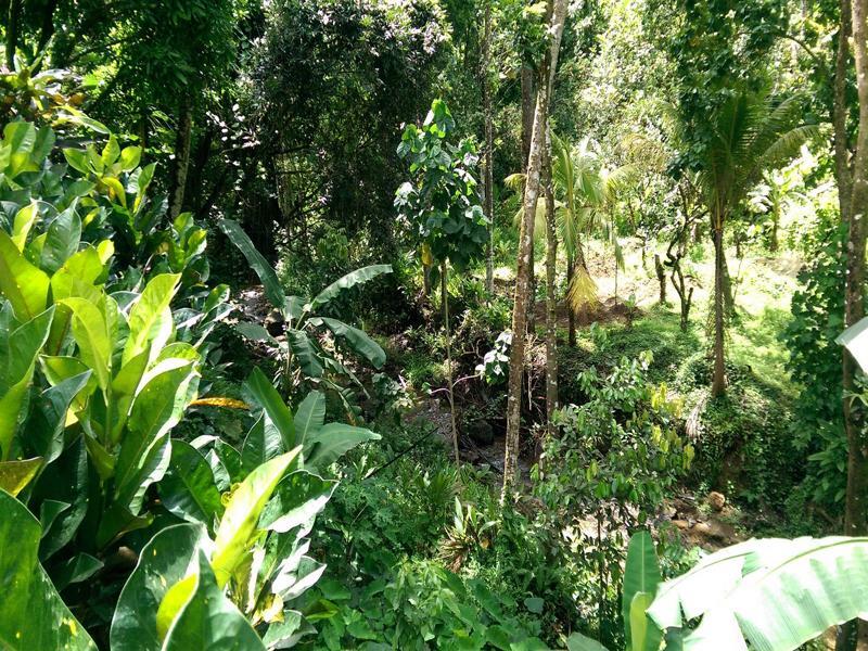 River Side House Holiday home Palmiste
