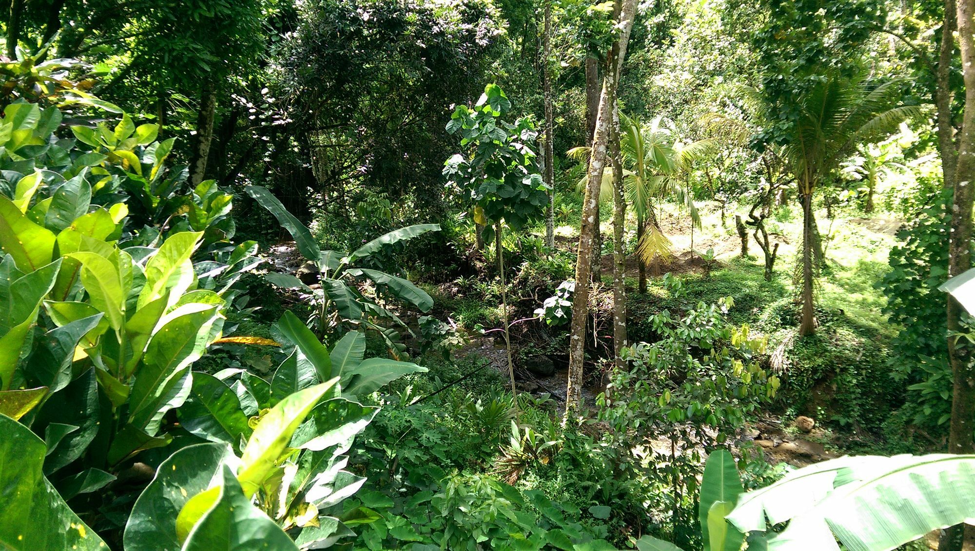 River Side House Holiday home *