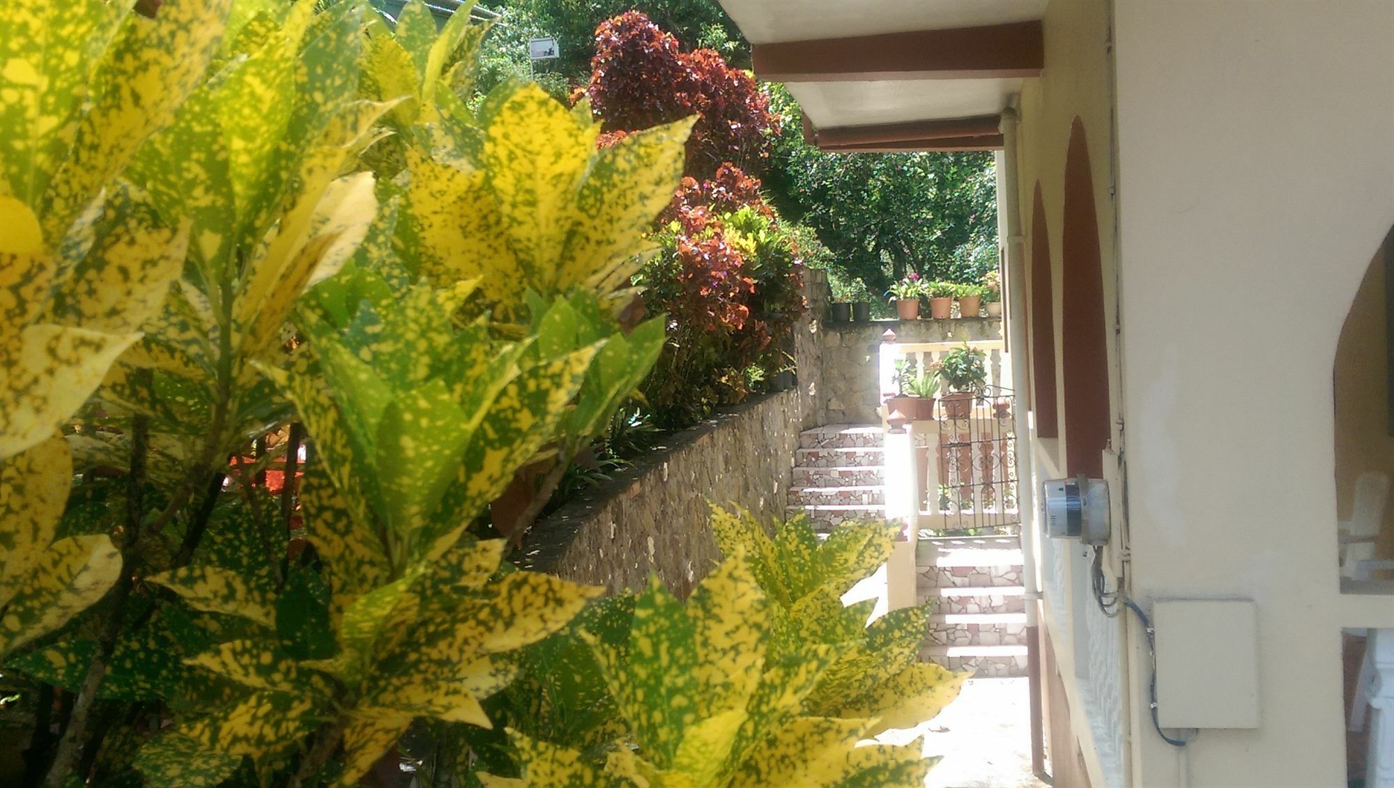 River Side House *